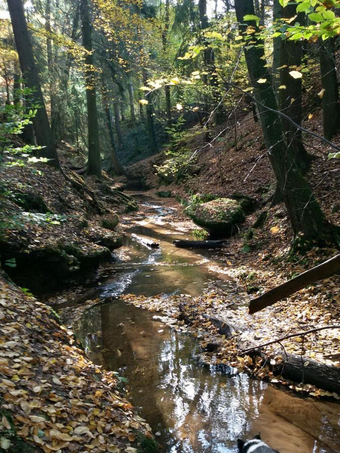 Ferienwohnung Guenther Lauf an der Pegnitz Εξωτερικό φωτογραφία